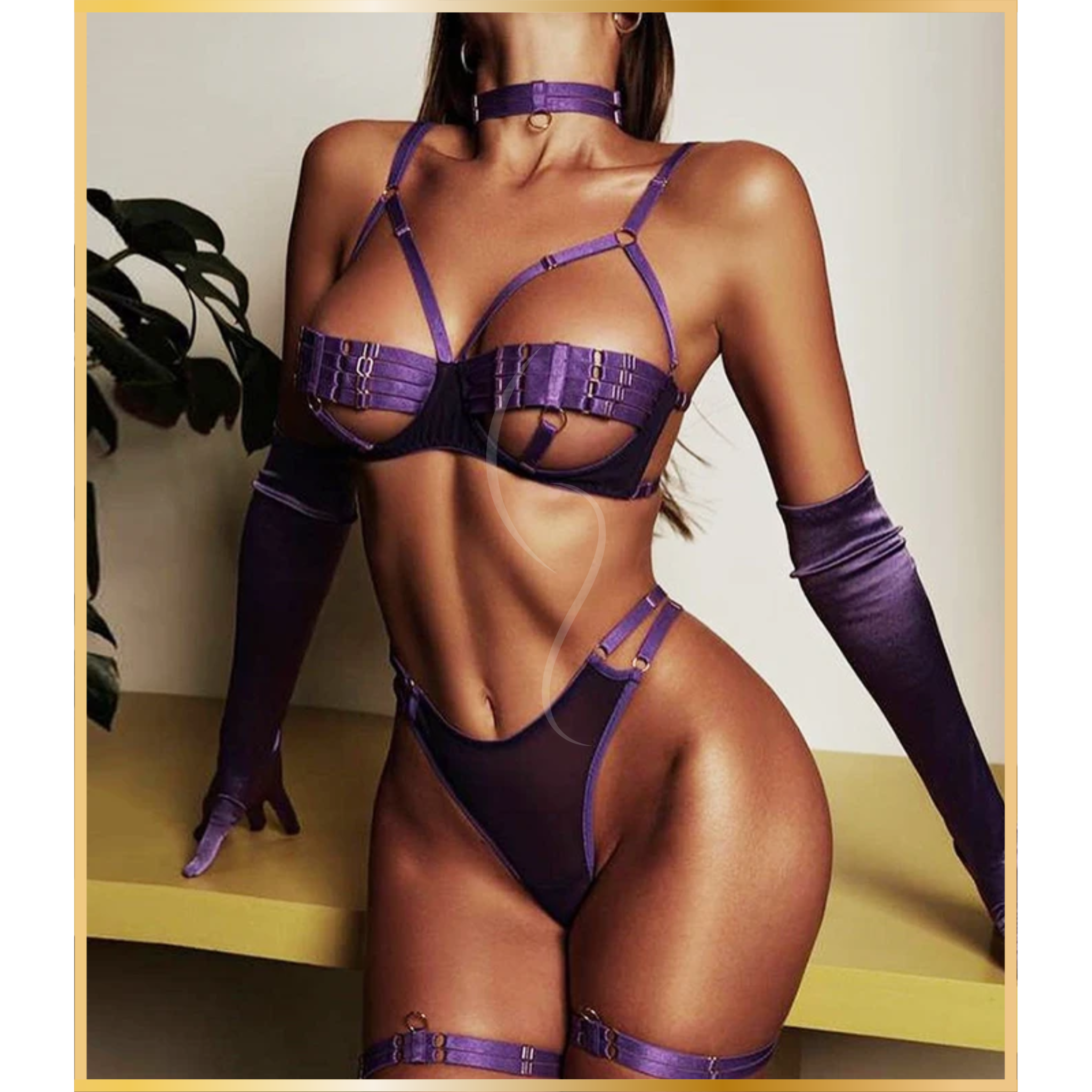 Lingerie Bharani